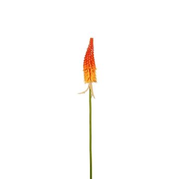 Decorative flower Red hot poker MAVORA, red-orange, 80cm