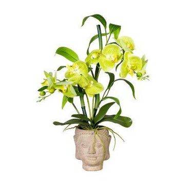 Artificial flower arrangement of orchid and bamboo MARAKI, cement pot in the shape of a Buddha head, roots, light green, 24"/60cm