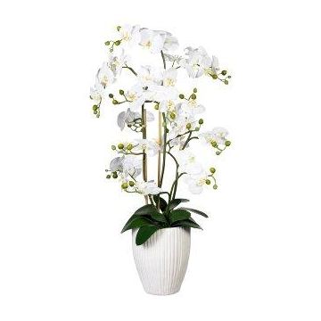 Decorative flower Phalaenopsis orchid VELTORI, ceramic vase, white, 4ft/110cm Decorative flower Phalaenopsis orchid VELTORI, ceramic vase, white, 4ft/110cm