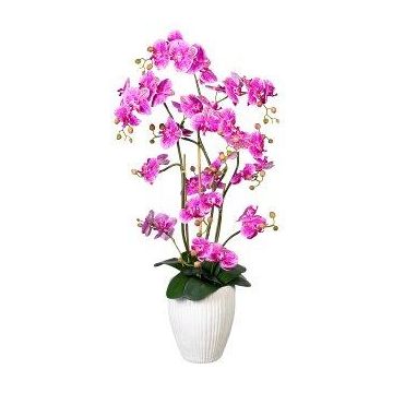 Decorative flower Phalaenopsis orchid VELTORI, ceramic vase, purple-fuchsia, 4ft/110cm Decorative flower Phalaenopsis orchid VELTORI, ceramic vase, purple-fuchsia, 4ft/110cm