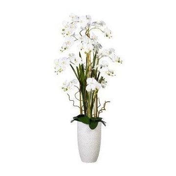 Artificial flower arrangement of orchid and corkscrew willow TENIKA, ceramic vase, roots, white, 5ft/160cm Artificial flower arrangement of orchid and corkscrew willow TENIKA, ceramic vase, roots, white, 5ft/160cm