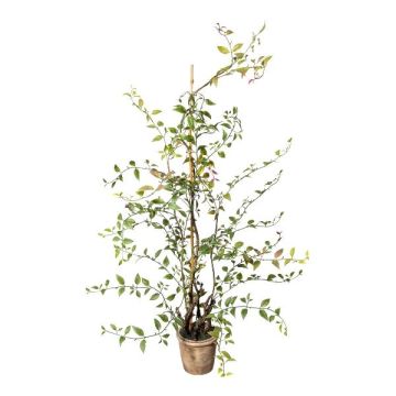 Artificial Mühlenbeckia plant MURAHIN, concrete pot, green, 100cm