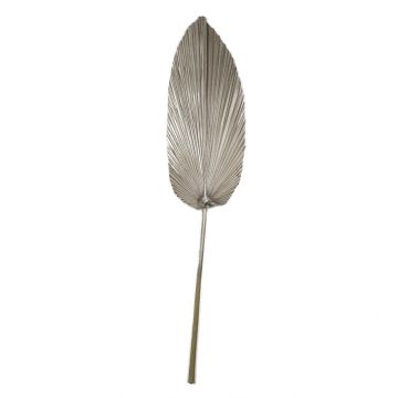 Washingtonia Palmblatt getrocknet DAIANE, champagner, 3ft/100cm