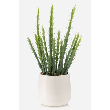 Artificial cactus Euphorbia sipolisii NORSHO in decorative pot, green, 11"/28cm Artificial cactus Euphorbia sipolisii NORSHO in decorative pot, green, 11"/28cm