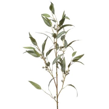 False eucalyptus branch JURKA with fruits, green-grey, 4ft/115cm