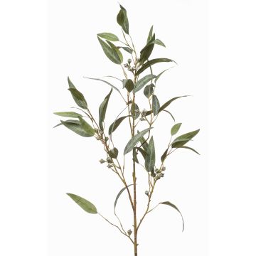 False eucalyptus branch JURKA with fruits, green-grey, 4ft/115cm