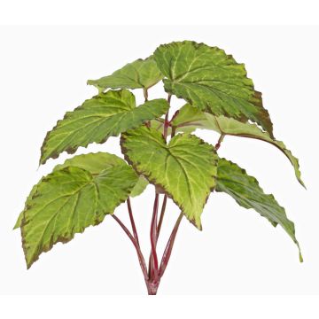 Artificial leaf begonia KATRICE on a stem, flame-retardant, green, 10"/25cm
