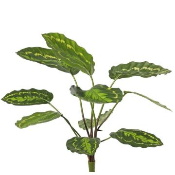 Artificial Calathea roseopicta WENFYN, stem, green, 22"/55cm Artificial Calathea roseopicta WENFYN, stem, green, 22"/55cm