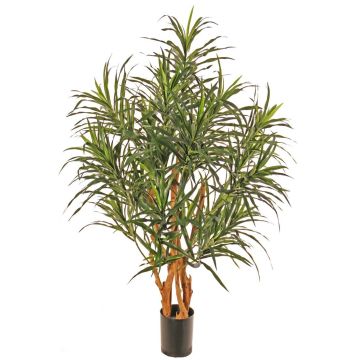 Artificial Dracaena reflexa 'Anita' SENFYN tree, natural trunks, green, 37"/95cm Artificial Dracaena reflexa 'Anita' SENFYN tree, natural trunks, green, 37"/95cm
