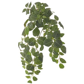 Artificial Fittonia plant LONFYN, stem, hanging, green, 30"/75cm Artificial Fittonia plant LONFYN, stem, hanging, green, 30"/75cm