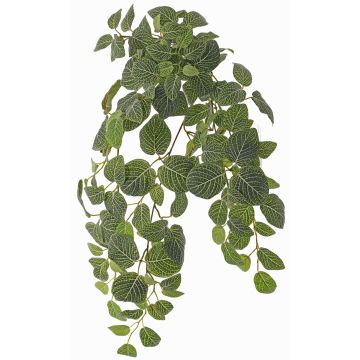Artificial Fittonia plant LONFYN, stem, hanging, green, 30"/75cm Artificial Fittonia plant LONFYN, stem, hanging, green, 30"/75cm