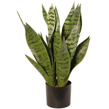 Artificial snake plant CONFYN, green, 18"/45cm Artificial snake plant CONFYN, green, 18"/45cm
