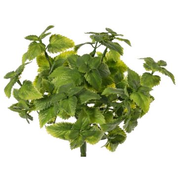 Decorative mint WONFYN, stem, green, 8"/20cm Decorative mint WONFYN, stem, green, 8"/20cm