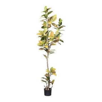 Artificial tree croton ERENDY, artificial trunk, green-yellow, 7ft/200cm Artificial tree croton ERENDY, artificial trunk, green-yellow, 7ft/200cm