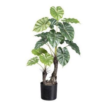 Artificial plant Colocasia SLIHER, artificial trunk, green, 28"/70cm Artificial plant Colocasia SLIHER, artificial trunk, green, 28"/70cm