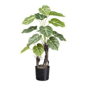 Decorative plant Anthurium TROHEL, artificial trunk, green-white, 28"/70cm Decorative plant Anthurium TROHEL, artificial trunk, green-white, 28"/70cm