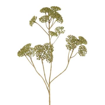 Decorative yarrow branch ORTEGA, green, 30"/75cm, Ø2.8"-5.1"/7-13cm Decorative yarrow branch ORTEGA, green, 30"/75cm, Ø2.8"-5.1"/7-13cm