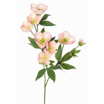 Artificial Christmas rose branch ANYALA, pink-white, 24"/60cm, Ø2"-2.4"/5-6cm