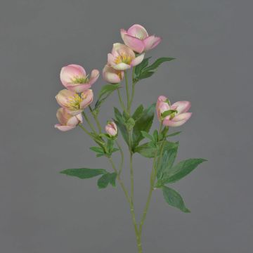 Artificial Christmas rose branch ANYALA, pink-white, 24"/60cm, Ø2"-2.4"/5-6cm Artificial Christmas rose branch ANYALA, pink-white, 24"/60cm, Ø2"-2.4"/5-6cm