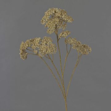 Decorative yarrow branch ORTEGA, beige, 30"/75cm, Ø2.8"-5.1"/7-13cm Decorative yarrow branch ORTEGA, beige, 30"/75cm, Ø2.8"-5.1"/7-13cm