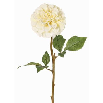 Artificial dahlia 'BREDANA', cream, 24"/60cm, Ø4.3"/11cm Artificial dahlia 'BREDANA', cream, 24"/60cm, Ø4.3"/11cm