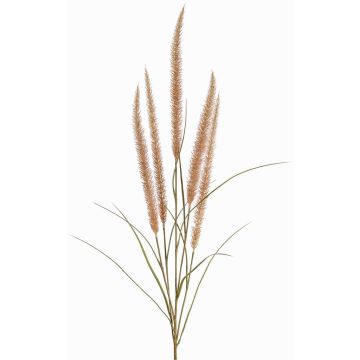 Decorative AREVALO feather grass branch with panicles, beige, 4ft/135cm Decorative AREVALO feather grass branch with panicles, beige, 4ft/135cm