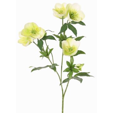 Artificial Christmas rose branch ANYALA, green-white, 24"/60cm, Ø2"-2.4"/5-6cm