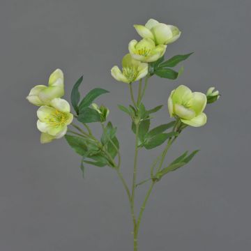 Artificial Christmas rose branch ANYALA, green-white, 24"/60cm, Ø2"-2.4"/5-6cm Artificial Christmas rose branch ANYALA, green-white, 24"/60cm, Ø2"-2.4"/5-6cm