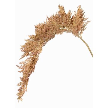 Artificial sorghum branch BOTTO with ears, beige-red, 37"/95cm Artificial sorghum branch BOTTO with ears, beige-red, 37"/95cm