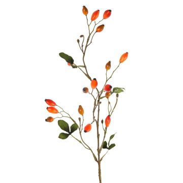 Decorative wild rose branch ZERBST with rose hips, orange-red, 31"/80cm Decorative wild rose branch ZERBST with rose hips, orange-red, 31"/80cm