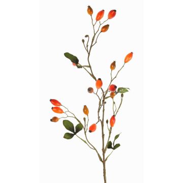 Decorative wild rose branch ZERBST with rose hips, orange-red, 31"/80cm Decorative wild rose branch ZERBST with rose hips, orange-red, 31"/80cm
