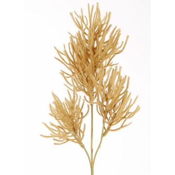 Coral decorative branch BILBAS, light brown, 28"/70cm Coral decorative branch BILBAS, light brown, 28"/70cm
