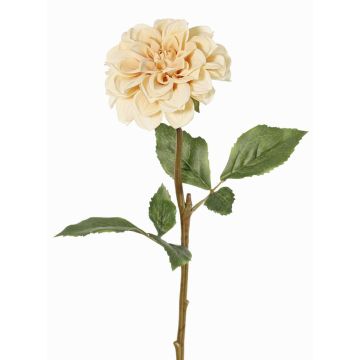 Artificial dahlia BREDANA, beige, 24"/60cm, Ø4.3"/11cm