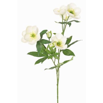 Artificial Christmas rose branch ANYALA, cream-white, 24"/60cm, Ø2"-2.4"/5-6cm