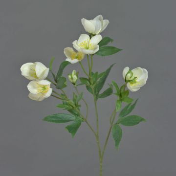 Artificial Christmas rose branch ANYALA, cream-white, 24"/60cm, Ø2"-2.4"/5-6cm Artificial Christmas rose branch ANYALA, cream-white, 24"/60cm, Ø2"-2.4"/5-6cm