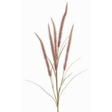 Decorative feather grass branch AREVALO with panicles, mauve, 4ft/135cm Decorative feather grass branch AREVALO with panicles, mauve, 4ft/135cm