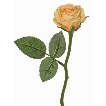 Artificial rose 'GABI', peach-cream, 12"/30cm, Ø2.4"/6cm Artificial rose 'GABI', peach-cream, 12"/30cm, Ø2.4"/6cm