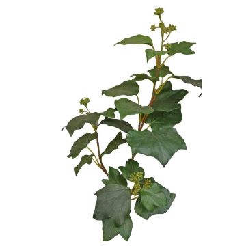 TOYAH artificial ivy branch with berries, green, 65cm