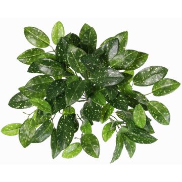 Artificial Hoya carnosa 'QWARA' on a stem, green-white, 14"/35cm