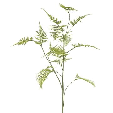 Decorative Asparagus plumosus branch UHERA, green, 5ft/140cm Decorative Asparagus plumosus branch UHERA, green, 5ft/140cm