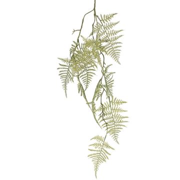 Decorative Asparagus plumosus branch UHERA, green, 35"/90cm Decorative Asparagus plumosus branch UHERA, green, 35"/90cm
