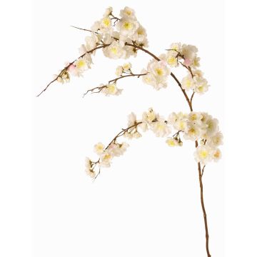 Decorative branch of Japanese ornamental cherry ‘ZORYA’ with blossoms, cream-pink, 125cm