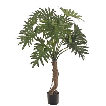 Artificial Philodendron Selloum DONIS, artificial trunk, 5ft/150cm Artificial Philodendron Selloum DONIS, artificial trunk, 5ft/150cm