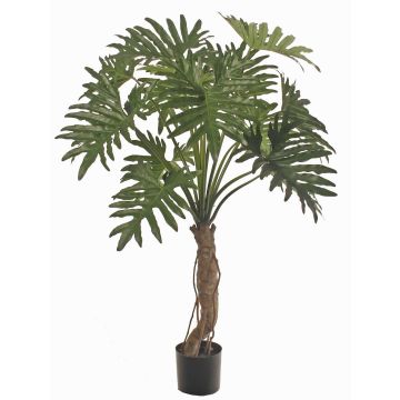 Artificial Philodendron Selloum DONIS, artificial trunk, 5ft/150cm Artificial Philodendron Selloum DONIS, artificial trunk, 5ft/150cm