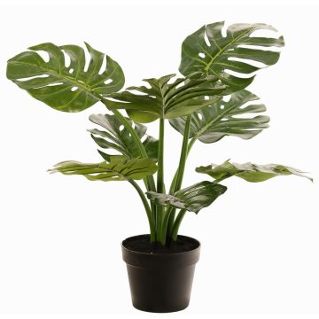 Philodendron Monstera Deliciosa artificial plant QUENTEA, decorative pot, 24"/60cm Philodendron Monstera Deliciosa artificial plant QUENTEA, decorative pot, 24"/60cm