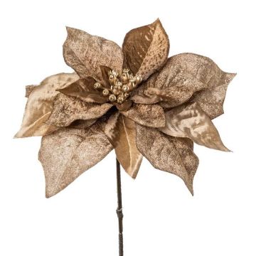 Velvet poinsettia PLINTY, gold, 22"/55cm