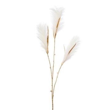Decorative branch Wood small-reed LOMTA with panicles, cream-gold, 3ft/100cm