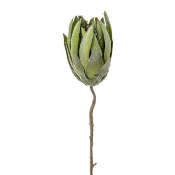 Artificial flower pincushion - Protea LINDAR, green, 28"/70cm Artificial flower pincushion - Protea LINDAR, green, 28"/70cm