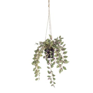 Artificial Tradescantia Zebrina hanging basket SPROUT in decorative pot, green, 16"/40cm Artificial Tradescantia Zebrina hanging basket SPROUT in decorative pot, green, 16"/40cm