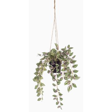 Artificial Tradescantia Zebrina hanging basket SPROUT in decorative pot, green, 16"/40cm